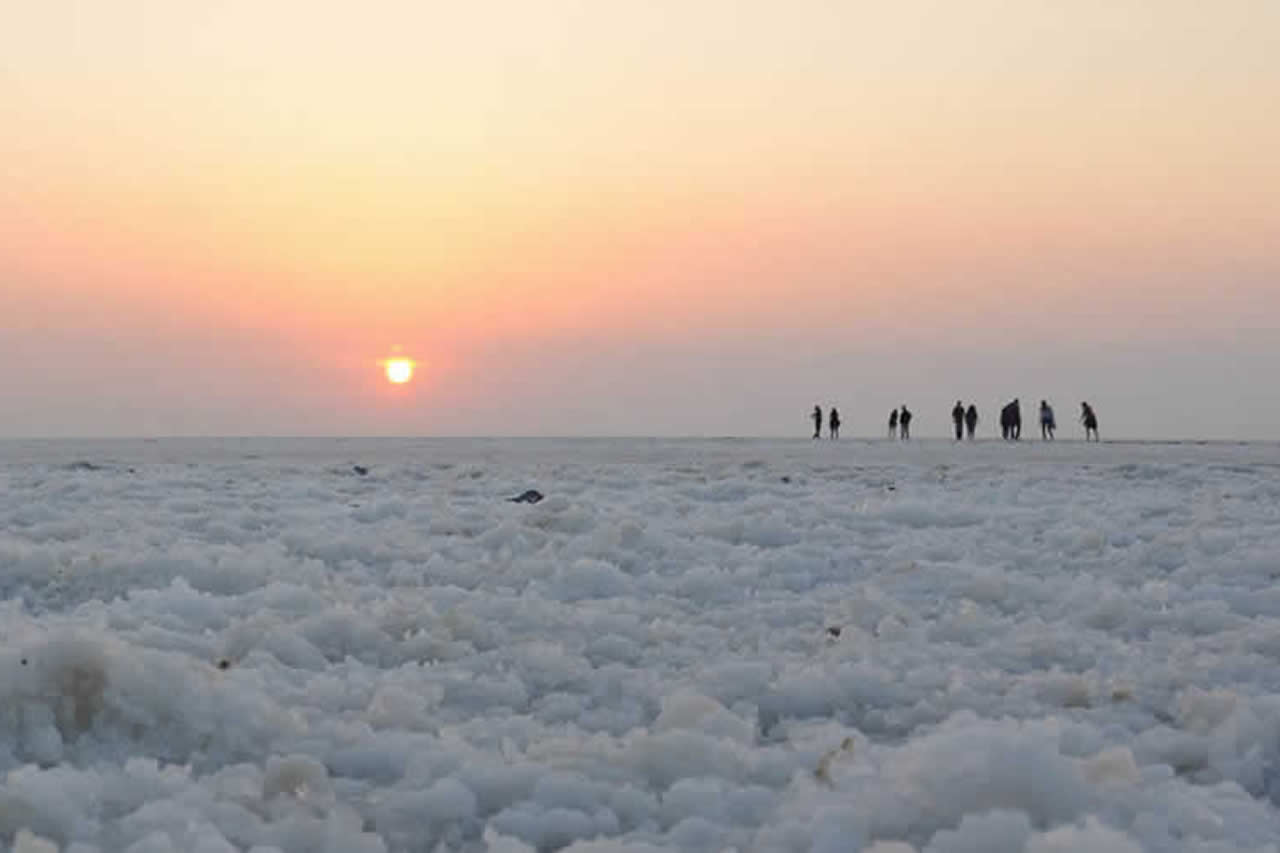 White Rann